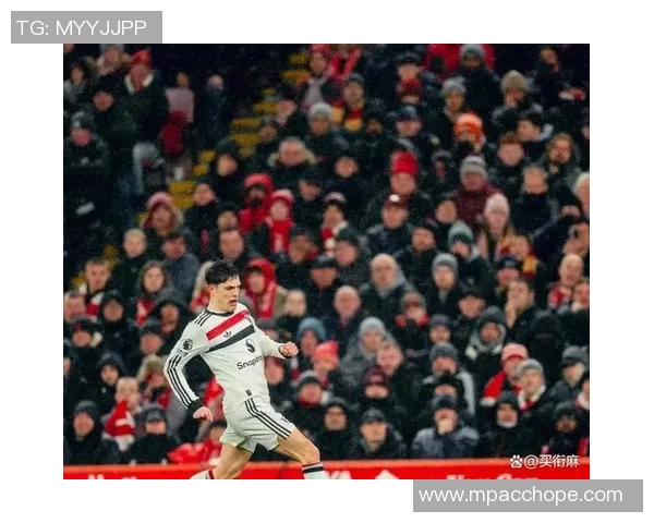 热刺逆转那不勒斯6-2全场沸腾赛后点评精彩回顾