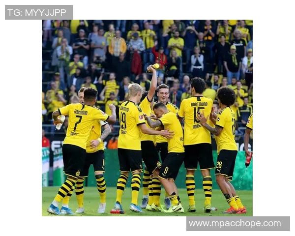 德甲激战波尔图与多特蒙德平局点球大战引发全场热烈反响